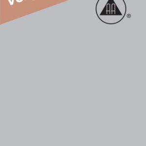 Spreken op niet AA-vergaderingen